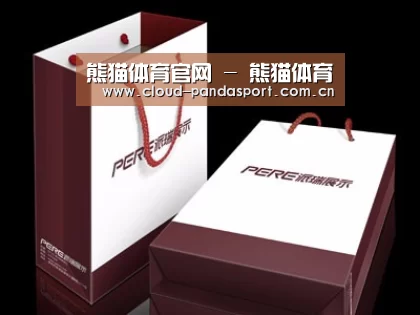 项目名称十二