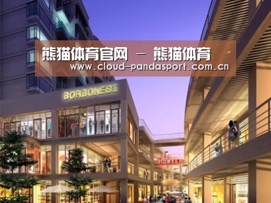 案例展示一