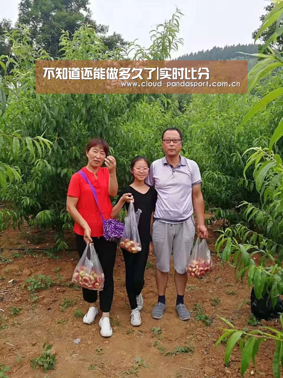 熊猫体育