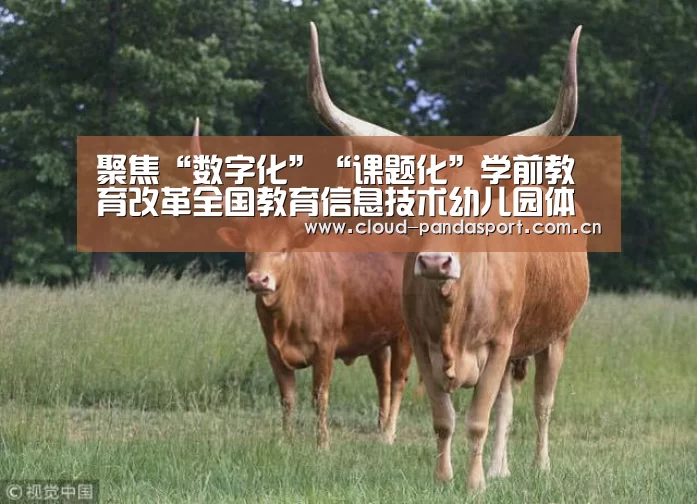 聚焦“数字化”“课题化”学前教育改革全国教育信息技术幼儿园体验式教学研讨会在唐山举行:熊猫体育官网(图2) 熊猫体育