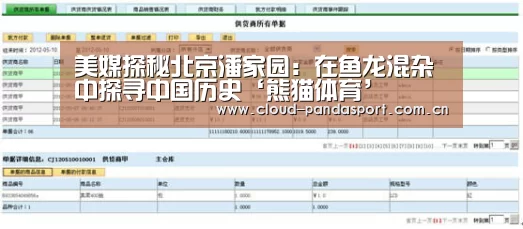 美媒探秘北京潘家园:在鱼龙混杂中探寻中国历史‘熊猫体育’(图3) 实时比分
